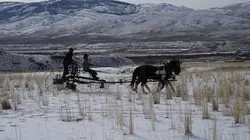 Seuls face à l'Alaska Inarrêtable