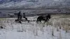 Seuls face à l'Alaska Alaska : aventuriers nés