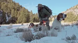 Seuls face à l'Alaska Mesures désespérées