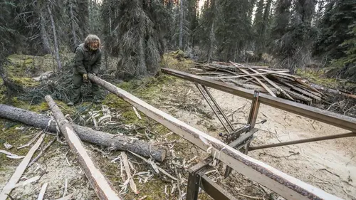 Seuls face à l'Alaska Pris au piège