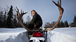 Seuls face à l'Alaska Survivre à la nature