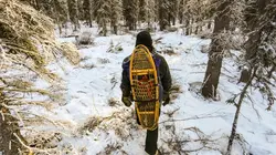 Seuls face à l'Alaska Lutter pour sa survie