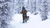 Seuls face à l'Alaska L'hiver : une bataille sans fin (2015)