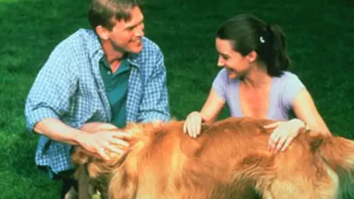 Sex and the City S01E07 Monogamie en streaming