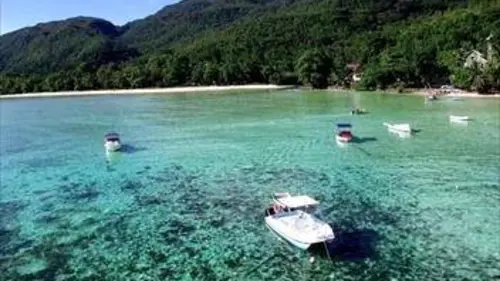 Seychelles, îles au trésor