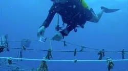 Visuel de Seychelles, un Eden en héritage