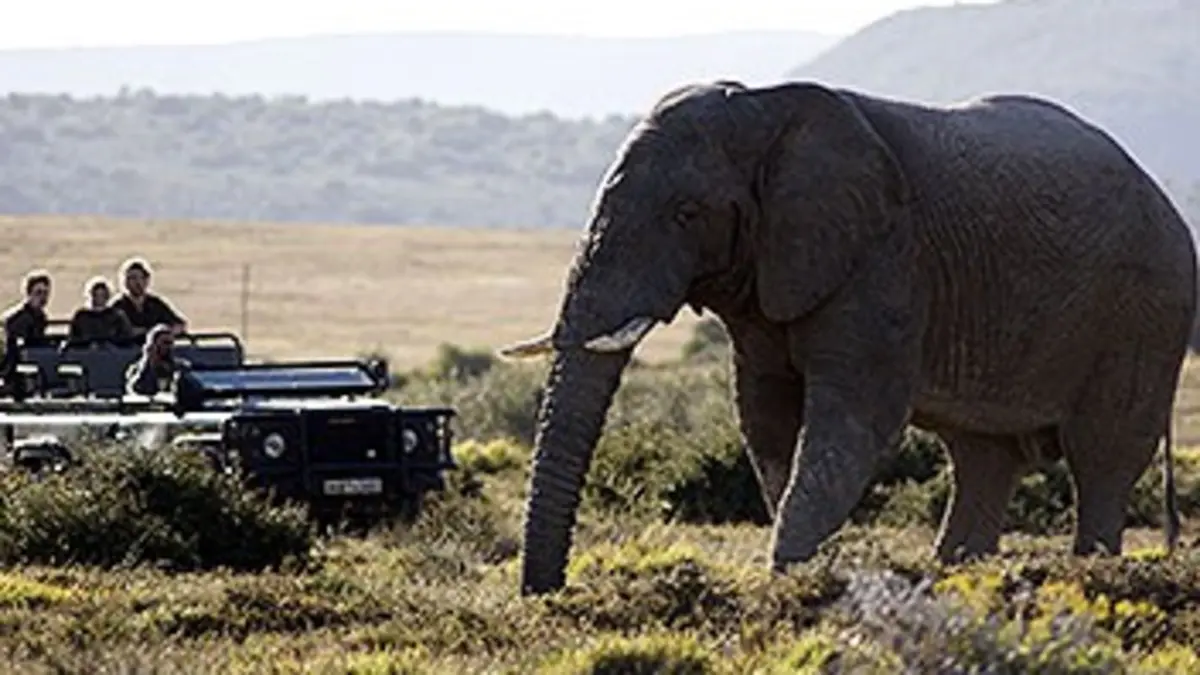 Shamwari, la vie sauvage S02E11