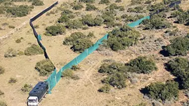 Shamwari, la vie sauvage