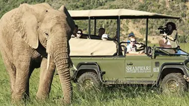 Shamwari, la vie sauvage