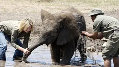 Shamwari, la vie sauvage