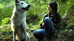 Shana : le souffle du loup en streaming