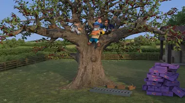 Les aubergines à la parmigiana