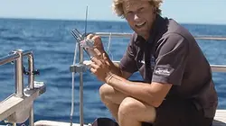 Visuel de Shark man