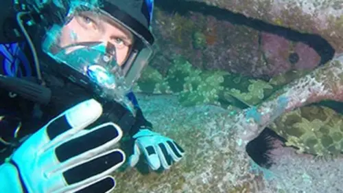 Shark man Requin-taureau en danger