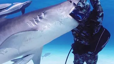 Shark Week