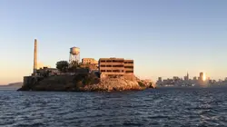 Visuel de Sharkatraz