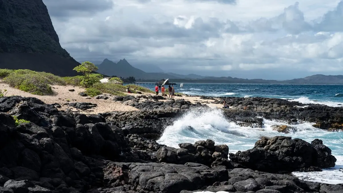 Sharks Attack ! Pagaille à Hawaï