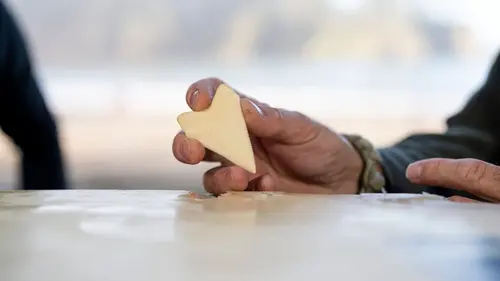 Sharks Attack ! Rien ne va plus