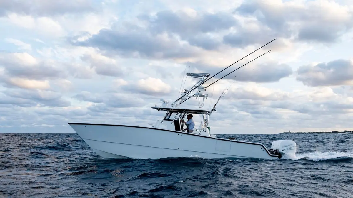 Sharks Attack ! Péril au paradis