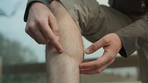 Sharks Attack ! Fureur en Floride