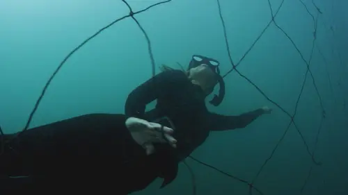 Casting Sharks Attack ! Au secours de l'Australie