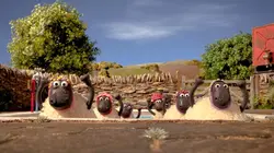 Shaun le champion S01E03 La natation synchronisée