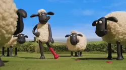 Shaun le mouton S07E07 Sabots à la mode