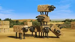 Shaun le mouton S07E08 Balle folle