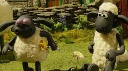 Shaun le mouton S05E10 Eleveur de moutons
