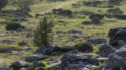 Sherlock S03E02 Le signe des trois