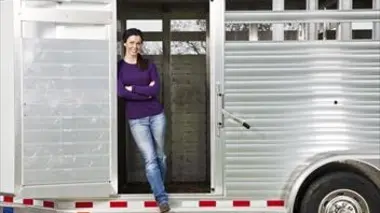 Le lion, le tigre et le zèbre empaillés