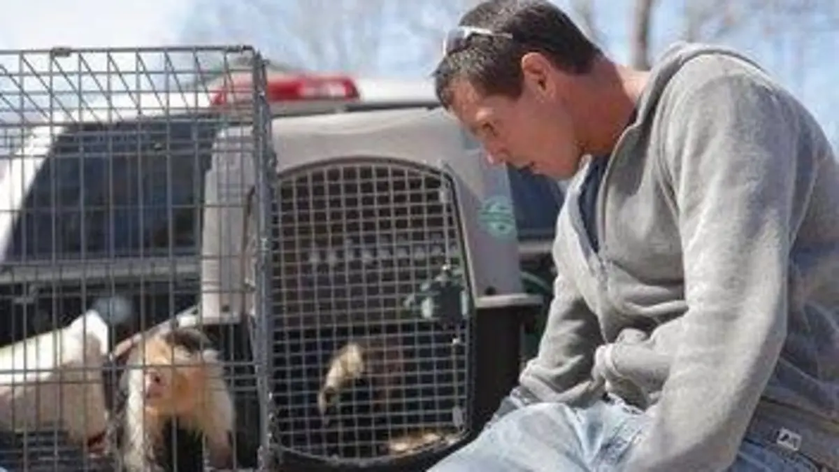 Shipping Wars : livraison impossible S04E11 Transport d'abeilles