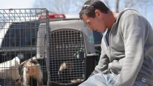 Shipping Wars : livraison impossible S04E11 Transport d'abeilles