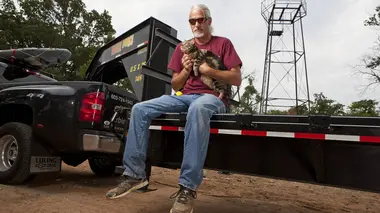 L'arbre qui cache la forêt (de Sherwood)