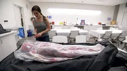 Shipping Wars : livraison impossible S05E04 Co-voiturage