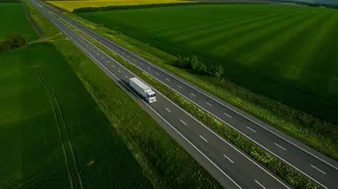 La créature et le vin