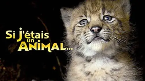 Si j'étais un animal E38 La grue