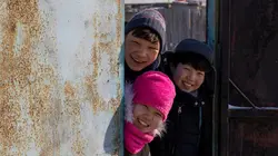 Si seulement je pouvais hiberner