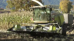 Audiences TV : Siberian Cut