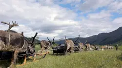 Sibérie, un homme libre dans la taïga