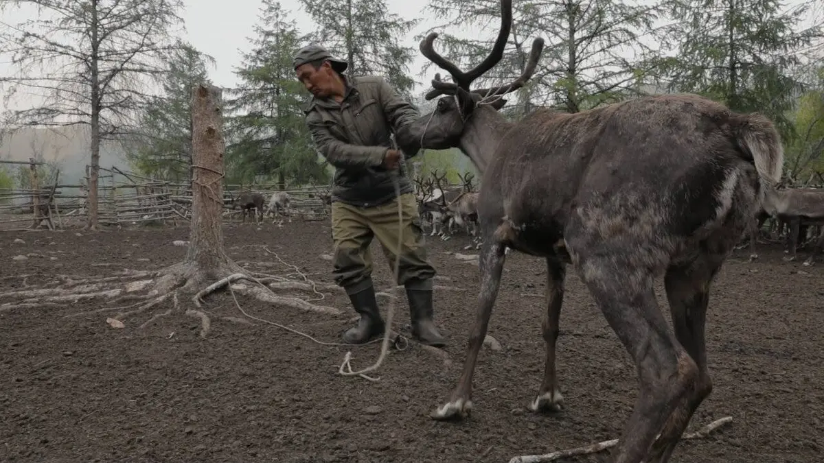 Sibérie, un homme libre dans la taïga