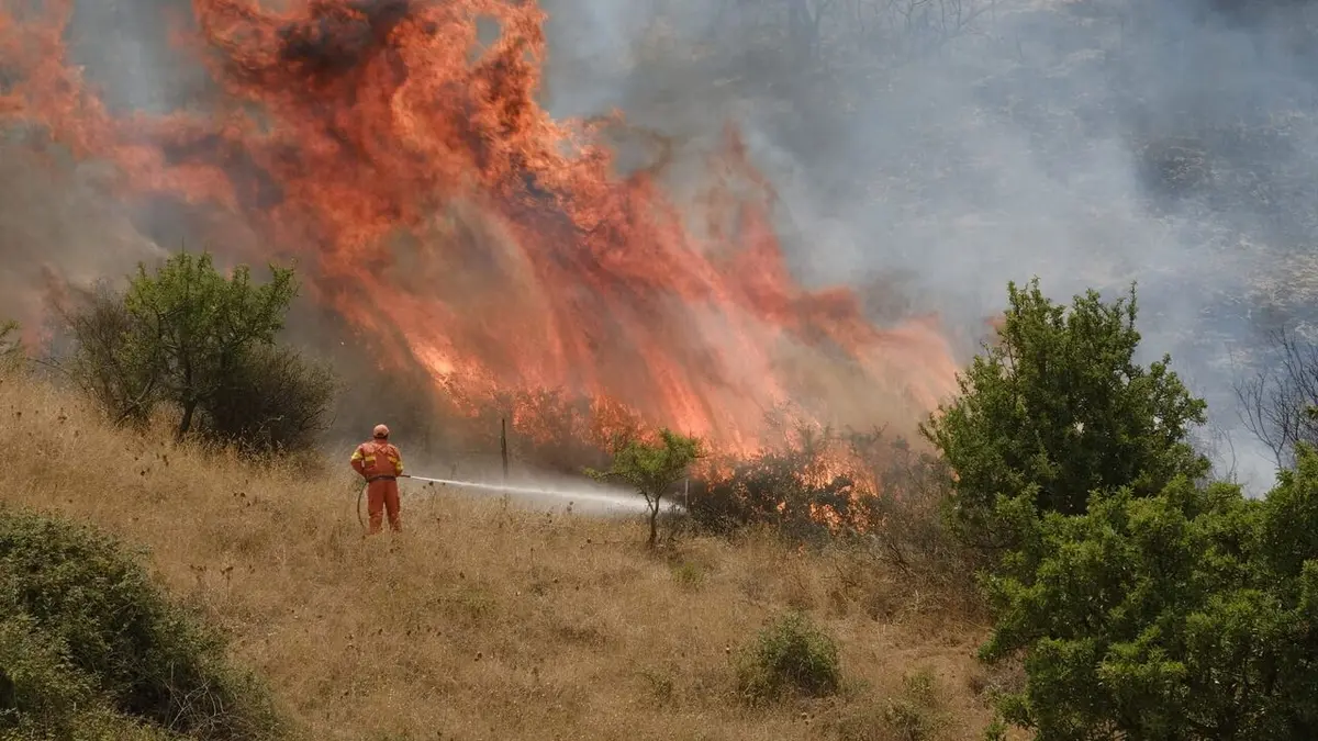 Sicile : à qui profitent les incendies ?