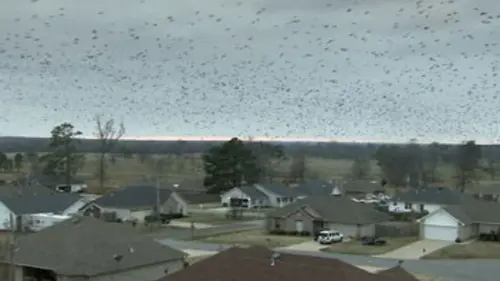 Signes apocalyptiques