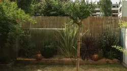 Visuel de Silence, ça pousse !