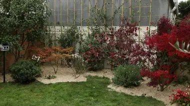 L'origine des plantes à fleur et pdp chez sophie