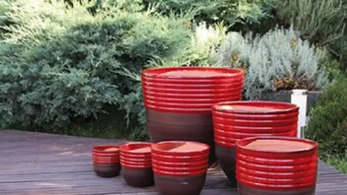 Silence, ça pousse !