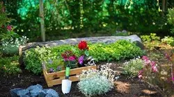 Silence, ça pousse !