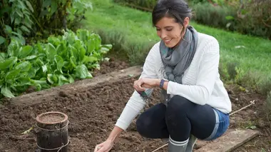Je fais sécher des fruits et des légumes