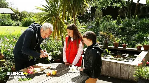 Silence ça pousse, junior !