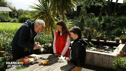 Silence ça pousse, junior ! La forêt et le compost